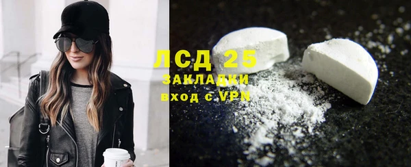 шишки Баксан