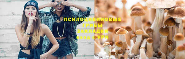 дмт Армянск