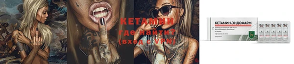 индика Мегион