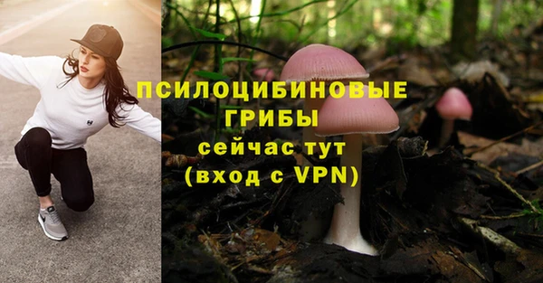 мяу мяу кристалл Медногорск