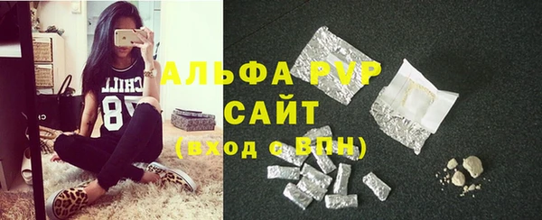 шишки Баксан