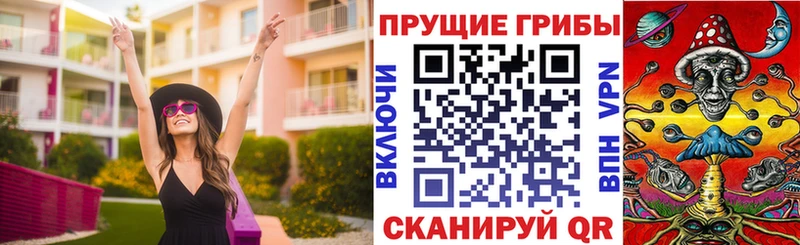 blacksprut онион Терек Галлюциногенные грибы Psilocybine cubensis